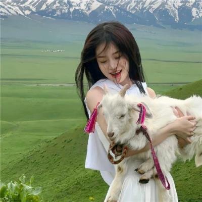 如何与我的猫分手