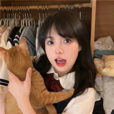 加菲猫的幸福生活第二季