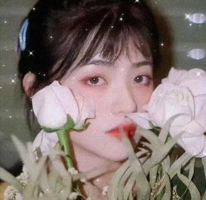 铁面无私